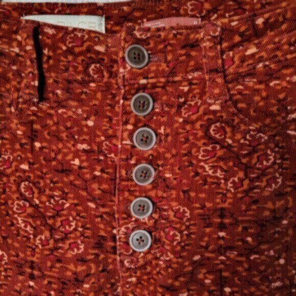 Pilcro by Anthropologie High Rise Skinny Button Fly Corduroy Pants NWT Sz 28 - Picture 4 of 10
